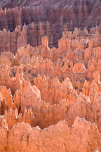 Backlit hoodoos. Sunset Point, Bryce Canyon NP, Utah. - Photo #18919