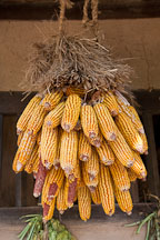 Dried corn hangs from one of the buildings in the Korean Folk Village. - Photo #20402