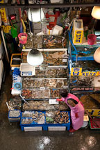 A vendor updates the signage at her stall in the Noryangjin Fish Market in Seoul. - Photo #21202