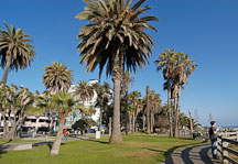 Palisades Park. Santa Monica, California, USA. - Photo #8220