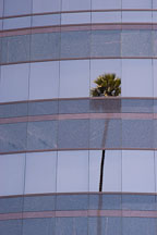 Director's Guild of America. Sunset Boulevard, Los Angeles, California, USA. - Photo #6421