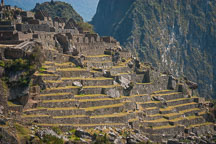 Terraces at Machu Picchu. Peru. - Photo #10121