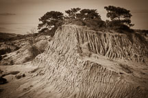 Broken hill. Torrey Pines State Reserve, San Diego, California. - Photo #26222