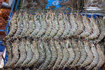Raw tiger prawns are lined up in a stall. Noryangjin Fish Market in Seoul. - Photo #21222
