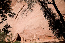 Antelope house viewed from the canyon floor. Canyon de Chelly NM, Arizona. - Photo #18123