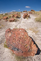 Petrified tree stump. Giant Logs trail, Petrified Forest NP, Arizona. - Photo #17923