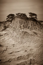 Broken hill at Torrey Pines State Reserve. San Diego, California. - Photo #26224