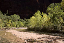North Fork Virgin River at the Temple of Sinawava. Zion NP, Utah. - Photo #19224