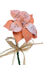 Flower book by Karin Schulz. - Photo #2226
