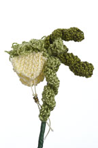 Flower book by Laura Mappin. - Photo #2228
