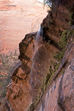 Water flowing from the middle to lower emerald pool. Zion NP, Utah. - Photo #19429