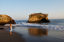 Natural bridges state beach, California, USA. - Photo #3803