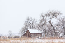 Doran Barn on South Boulder Creek Trail. Boulder, Colorado. - Photo #33131