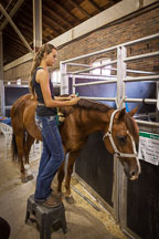 Young girl grooms her horse. Iowa State Fair, Des Moines. - Photo #33032