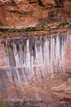 Mineral deposits from seeping water. Zion NP, Utah. - Photo #19433