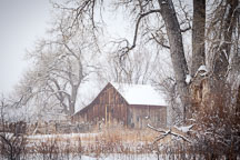 Doran Barn on South Boulder Creek Trail. Boulder, Colorado. - Photo #33134