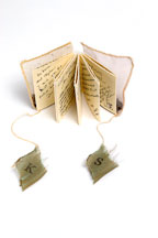 Flower book by Linda Powers. - Photo #2234