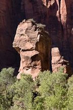 Afternoon light on the Preacher and Pulpit. Temple of Sinawava, Zion NP, Utah. - Photo #19234