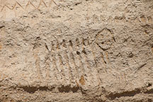 Zoomorphic petroglyph. Petroglyph Point, California. - Photo #27237