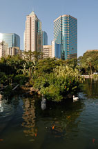 Bird lake in Kowloon Park. Hong Kong, China. - Photo #14738