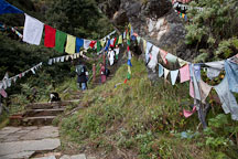 Steps on the path to the Tiger's Nest monastery. Paro, Bhutan. - Photo #24238