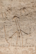 Anthropomorphic petroglyph. Petroglyph Point, California. - Photo #27239