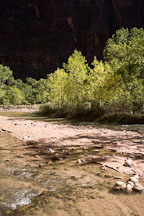 River flowing through the Temple of Sinawava. Zion NP, Utah. - Photo #19239