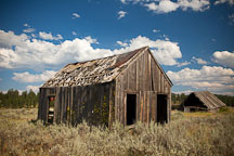 Dilapidated shed. Whitney, Oregon. - Photo #27804