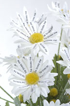Flower book by Peng-Peng Wang - Photo #2241