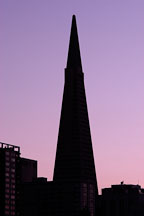 Silhouette of the Transamerica pyramid. San Francisco, California. - Photo #2042