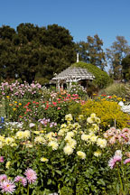 Gamble gardens, Palo Alto, California, USA. - Photo #4443