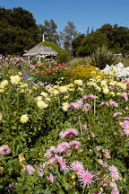 Gamble gardens, Palo Alto, California, USA. - Photo #4444