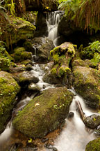 Mossy rocks and Trillium Falls. Redwood National Park, California. - Photo #28845