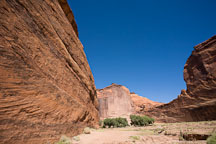 The White House Trail passes by steep canyon walls. Canyon de Chelly NM, Arizona. - Photo #18247