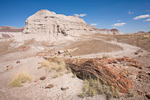 Petrified log and badland hill. Long Logs Trail, Petrified Forest NP, Arizona. - Photo #17949