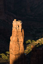 Close-up of the top of Spider Rock spire. Canyon de Chelly, Arizona. - Photo #18305