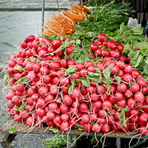 Beets at the farmers' market. Union Square, New York City, New York, USA. - Photo #13150