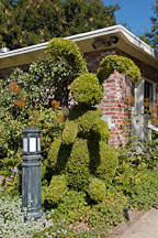 Bunny rabit hedge. Gamble gardens, Palo Alto, California, USA. - Photo #4451