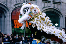 Lion Dancer. San Francisco Chinese New Year Parade, San Francisco, California - Photo #151