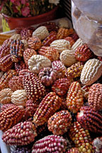 Basket of corn. Central market. Cusco, Peru. - Photo #9454