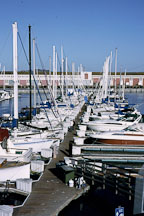 The marina at Pier 39. San Francisco, California. - Photo #54