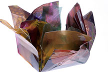 Flower book by Susan LaFranchi-Madonich - Photo #2256