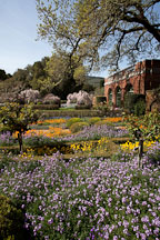 Grounds of the Filoli Gardens. - Photo #24556