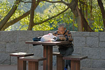 Old man reading newspaper in Kowloon Park. Hong Kong, China. - Photo #14756