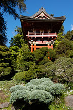 Pagoda in the Japanese Tea Garden. Golden Gate Park, San Francisco, California, USA. - Photo #3458