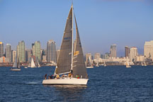 Sailing in San Diego bay. - Photo #26458