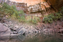 Upper Emerald Pool. Zion NP, Utah. - Photo #19458