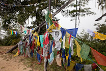 Prayer flags on the trail to Taktshang. Paro valley, Bhutan. - Photo #24059