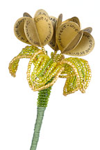 Flower book by Joan Ingoldsby Brown. - Photo #2206