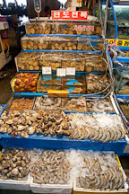 Shellfish and mollusks at the Noryangjin fish market in Seoul. - Photo #21206
